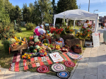 Около 80 оригинальных цветочных композиций представили на праздничной площадке Дня города в Центральном районе Барнаула