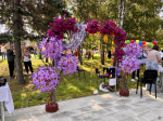 Около 80 оригинальных цветочных композиций представили на праздничной площадке Дня города в Центральном районе Барнаула
