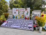 Около 80 оригинальных цветочных композиций представили на праздничной площадке Дня города в Центральном районе Барнаула
