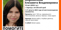 Пропавшая Лиза Боровикова / Фото: "ЛизаАлерт" - ИА Амител