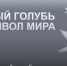 Белый голубь – символ мира - Алтайский филиал РАНХиГС