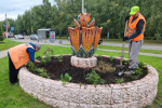 В Барнауле приступили к частичной уборке однолетней рассады