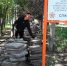 Благоустройство аллеи Ветеранов ВОВ в 
Барнауле / Фото: barnaul.org - ИА Амител