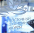 Фото: Восточный экономический форум - Алтайская правда
