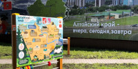Фото: пресс-центр администрации Барнаула - НИА Алтай