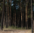 Более 3,6 тысячи человек пострадали от укусов клещей в Республике Алтай - Сетевое издание Толк
