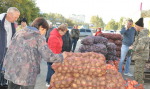 В Ленинском районе подвели итоги первой в осеннем сезоне продовольственной ярмарки