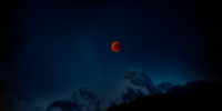 Фото: unsplash.com - Алтайская правда