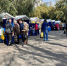 На первой осенней ярмарке в Барнауле продали продукцию на 10,1 млн рублей - Комсомольская Правда