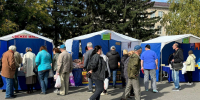 Товарооборот первой осенней продовольственной ярмарки в столице Алтайского края превысил 10 миллионов рублей - Администрация Алтайского края