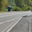 Водитель КамАЗа сбил велосипедиста и попытался скрыться в Республике Алтай - Сетевое издание Толк
