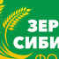 Директор Алтайского филиала ЦОК АПК ознакомит участников форума «Зерно Сибири» с предварительными данными о качестве урожая в СФО - ФГБУ Центр оценки качества зерна Барнаул
