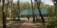 Фото: официальный канал в мессенджере MAX Губернатора Алтайского края Виктора Томенко  фото - Алтайская правда