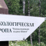 Аудиогид по экотропе Шинок создали в Алтайском крае - Сетевое издание Толк