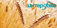 Интерфакс: Доля продовольственной пшеницы в урожае-2025 в РФ остается на уровне прошлого года - ФГБУ Центр оценки качества зерна Барнаул