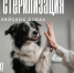 2d1ff226-5803-42f0-baa1-c493a67afdc6.jpg - Администрация г. Барнаул