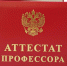 Преподавателю АлтГПУ Дмитрию Каширскому присвоено учёное звание профессора - АлтГПУ