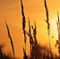 Фото: pixabay.com - ИА Амител