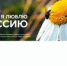 Студенты могут принять участие во Всероссийском фотоконкурсе «За это я люблю Россию» - АлтГТУ им. И.И. Ползунова