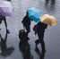 Фото: unsplash. com - Алтайская правда