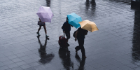 Фото: unsplash. com - Алтайская правда