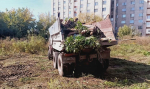 На территории Октябрьского района продолжаются работы по ликвидации несанкционированных свалок