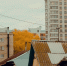 Улица города Барнаула / Фото: amic.ru - ИА Амител
