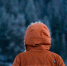 Фото: unsplash.com - Алтайская правда