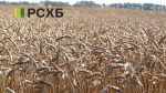 РСХБ: 13 млрд рублей направлено на финансирование сезонных работ на Алтае