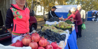 На площади им. Германа Титова состоялась ярмарка выходного дня «Продукция Барнаула -горожанам» - Администрация г. Барнаул
