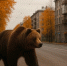 Медведь / Изображение сгенерировано с помощью нейросети "Шедеврум" / amic.ru - ИА Амител