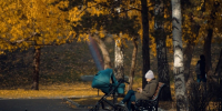 Осень в Барнауле / Фото: amic.ru - ИА Амител