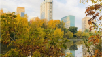 Фото: Barnaul 22 фото