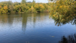 Фото: Barnaul 22