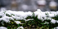 Фото: unsplash.com - Алтайская правда