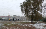 В рамках месячника осенней санитарной очистки на территории Ленинского района провели противопожарные субботники