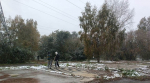 В рамках месячника осенней санитарной очистки на территории Ленинского района провели противопожарные субботники