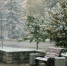 Снегопад в Барнауле / Фото: amic.ru / Екатерина Смолихина - ИА Амител