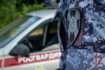 Росгвардеец задержал гражданина за кражу из автомобилей
