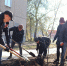 В рамках месячника осенней санитарной очистки в Ленинском районе продолжаются акции по высадке зелёных насаждений - Администрация г. Барнаул