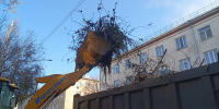 В Октябрьском районе прошел «Чистый четверг» в рамках осеннего месячника санитарной очистки - Администрация г. Барнаул