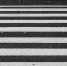 Фото: unsplash.com - Алтайская правда