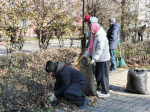 Общегородской субботник в Октябрьском районе: Наводим порядок вместе