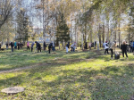 Общегородской субботник в Октябрьском районе: Наводим порядок вместе