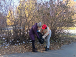 Центральный район принял участие в общегородском субботнике