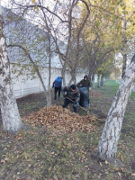 Предприятия потребительского рынка  провели санитарно-экологические акции