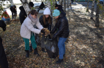 В Барнауле прошел общегородской субботник