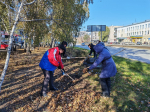 В Барнауле прошел общегородской субботник