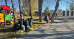 В Барнауле прошел общегородской субботник