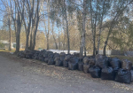В Барнауле прошел общегородской субботник